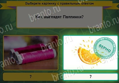 Игра Выбирайка подсказки Уровень 8658