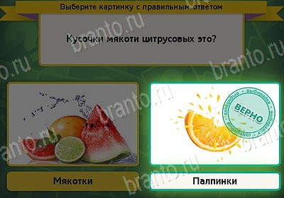 Одноклассники Выбирайка ответы Уровень 8678