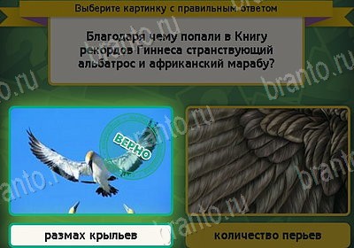 Игра Выбирайка Одноклассники подсказки Уровень 8698