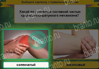 Выбирайка игра помощь Уровень 8725