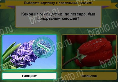 ответы к игре Выбирайка Уровень 8735