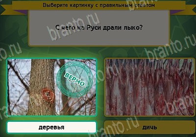 Выбирайка подсказки в контакте Уровень 8739