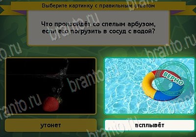 Выбирайка решения Уровень 8742