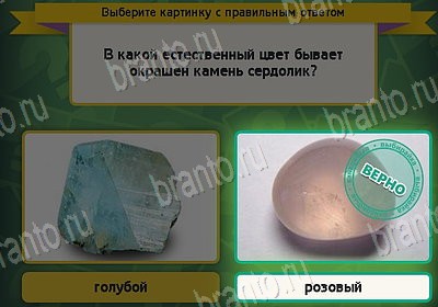 игра Выбирайка Мой мир ответ на Уровень 8760