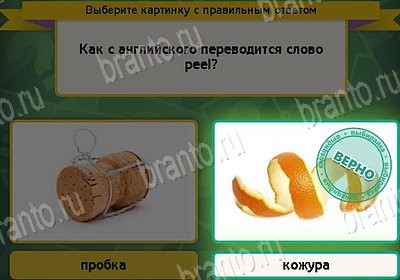 Подсказки на игру Выбирайка Уровень 8762