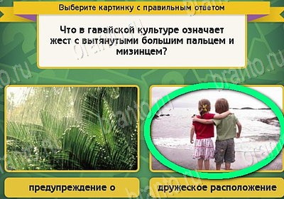 ответы к игре Выбирайка Уровень 8765