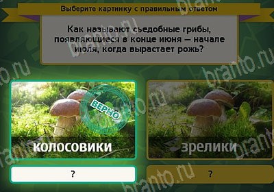 Игра Выбирайка подсказки Уровень 8778