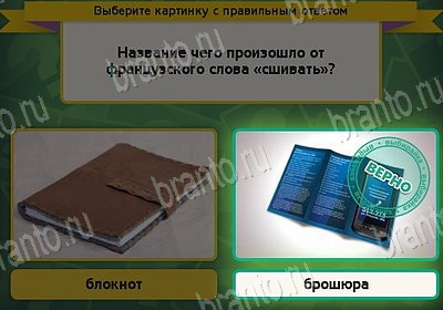 игра Выбирайка ответ на Уровень 8780