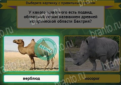 Игра Выбирайка Мой мир ответы Уровень 8787