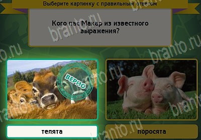 игра Выбирайка Мой мир ответ на Уровень 8790