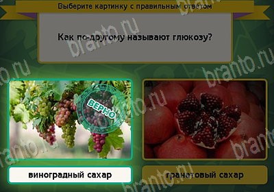 Подсказки на игру Выбирайка Уровень 8792