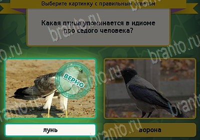 Выбирайка игра ответы в одноклассниках Уровень 8797