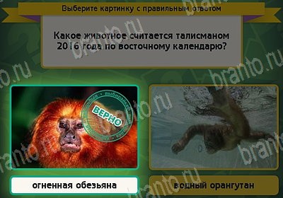 Одноклассники Выбирайка ответы Уровень 8798