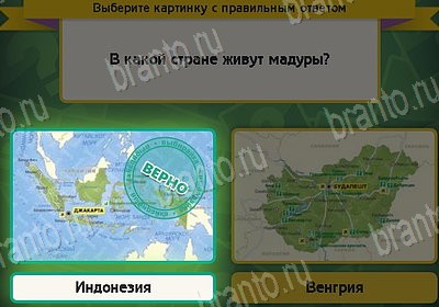 Выбирайка игра ответы Уровень 8803