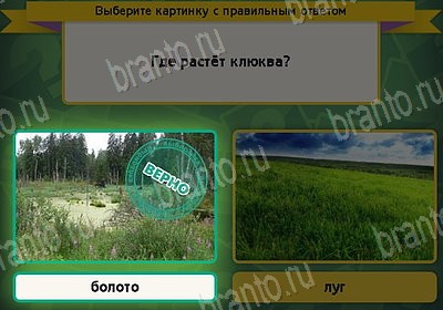 Выбирайка игра подсказки Уровень 8804