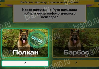 игра Выбирайка помощь Уровень 8839