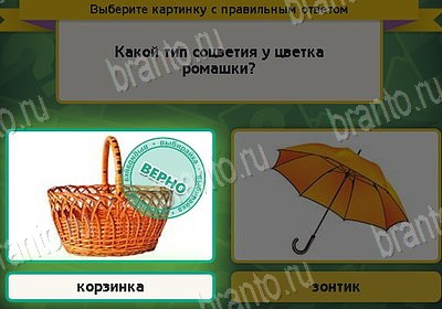 Игра Выбирайка Мой мир ответы Уровень 8847