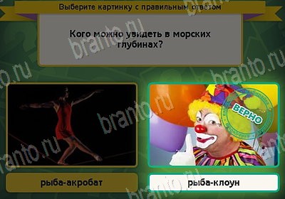 игра Выбирайка ВК помощь Уровень 8849