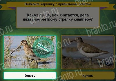 игра Выбирайка ответ на Уровень 8870