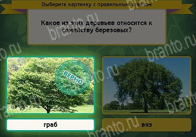 Игра Выбирайка Мой мир ответы Уровень 8877