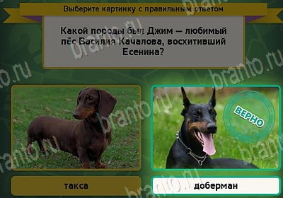 Решения на игру Выбирайка Уровень 8883