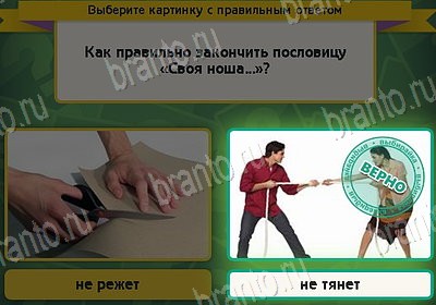 игра Выбирайка ответ на Уровень 8890