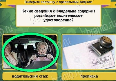Выбирайка ответы в картинках Уровень 8896