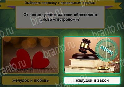 игра Выбирайка Мой мир ответ на Уровень 8910