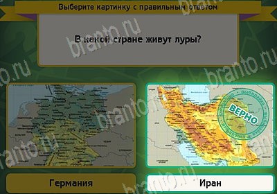 Игра Выбирайка подсказки Уровень 8928