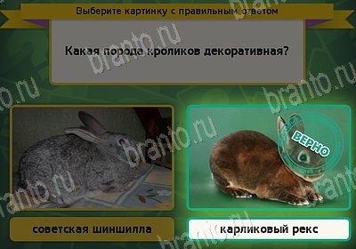 Выбирайка подсказки в контакте Уровень 8949