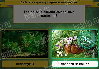 игра Выбирайка ответ на Уровень 8960