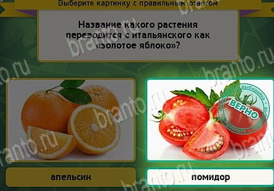 Выбирайка ответы в картинках Уровень 8966