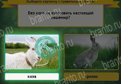 Подсказки на игру Выбирайка Уровень 8972