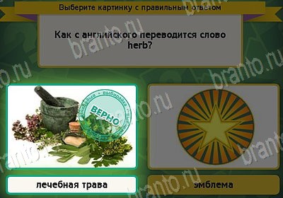 игра Выбирайка ответ на Уровень 8990