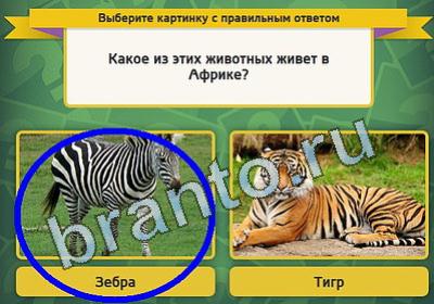 игра Выбирайка ответ на Уровень 880