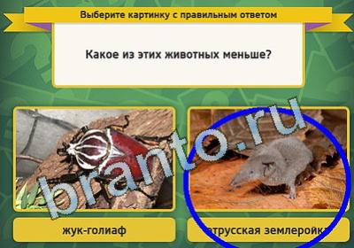 Выбирайка игра помощь Уровень 885