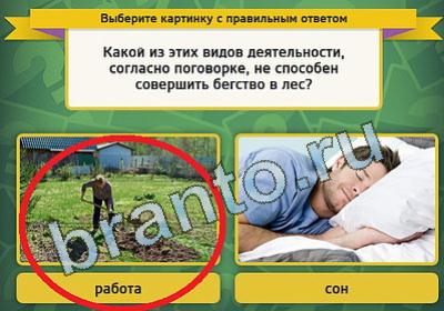 Выбирайка ответы в картинках Уровень 896