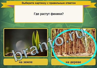 Помощь на игру ВК Выбирайка Уровень 904