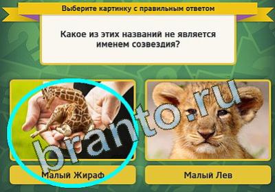 Выбирайка игра ответы в одноклассниках Уровень 907