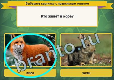 игра Выбирайка ответ на Уровень 910