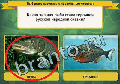 Игра Выбирайка подсказки Уровень 928