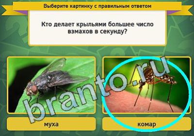 игра Выбирайка ответ на Уровень 930