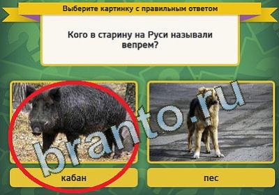 ответы на игру в одноклассниках Выбирайка Уровень 936