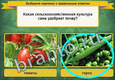 игра Выбирайка ответ на Уровень 950
