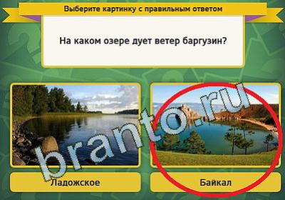 Выбирайка решения Уровень 952