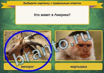 Игра Выбирайка подсказки Уровень 1018