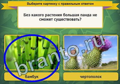 игра Выбирайка ответ на Уровень 1020