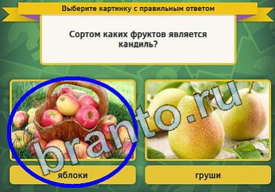 Выбирайка ответы в картинках Уровень 1066