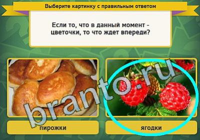 игра Выбирайка ответ на Уровень 1070