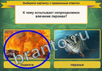 Выбирайка игра помощь Уровень 1155